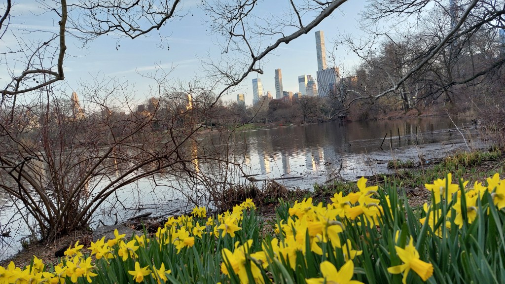 Ohne Worte: (Vor-)Frühling im Central&nbsp;Park