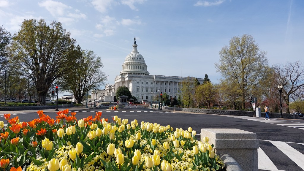 Blick ins politische&nbsp;Washington